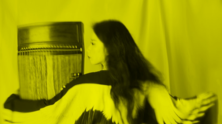 A person with long black hair and light skin standing with their back to the camera. Their arms are outstretched, revealing the print of bird wings on their dress. The are standing next to a guzheng.